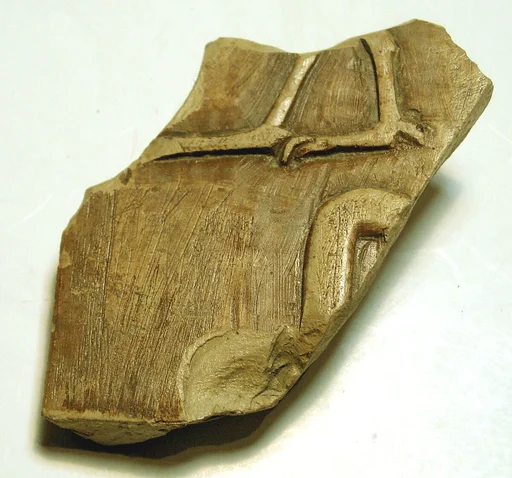Raised relief fragment