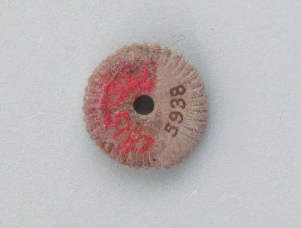 Disc — Unknown