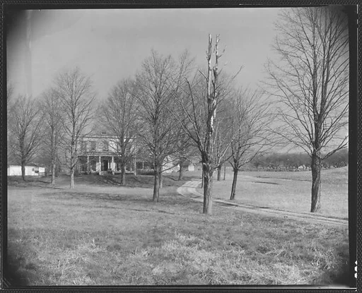 [Farmhouse and Outbuildings Behind Trees]