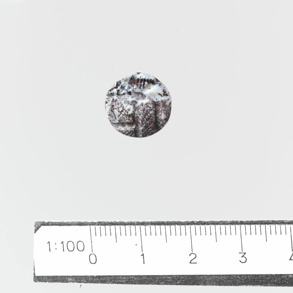 Seal, discoid — Unknown