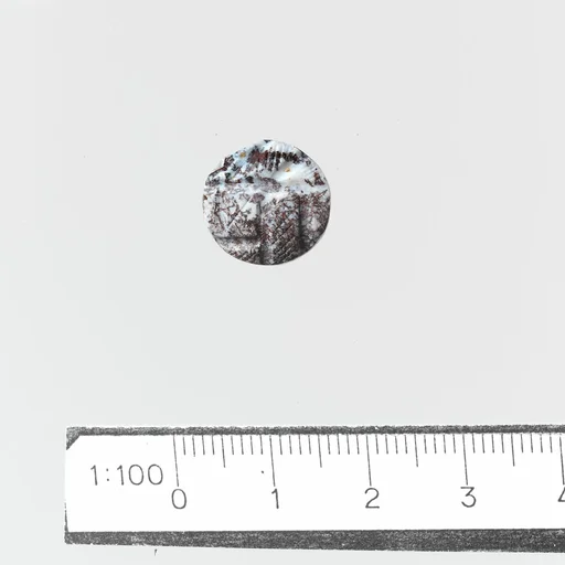 Seal, discoid