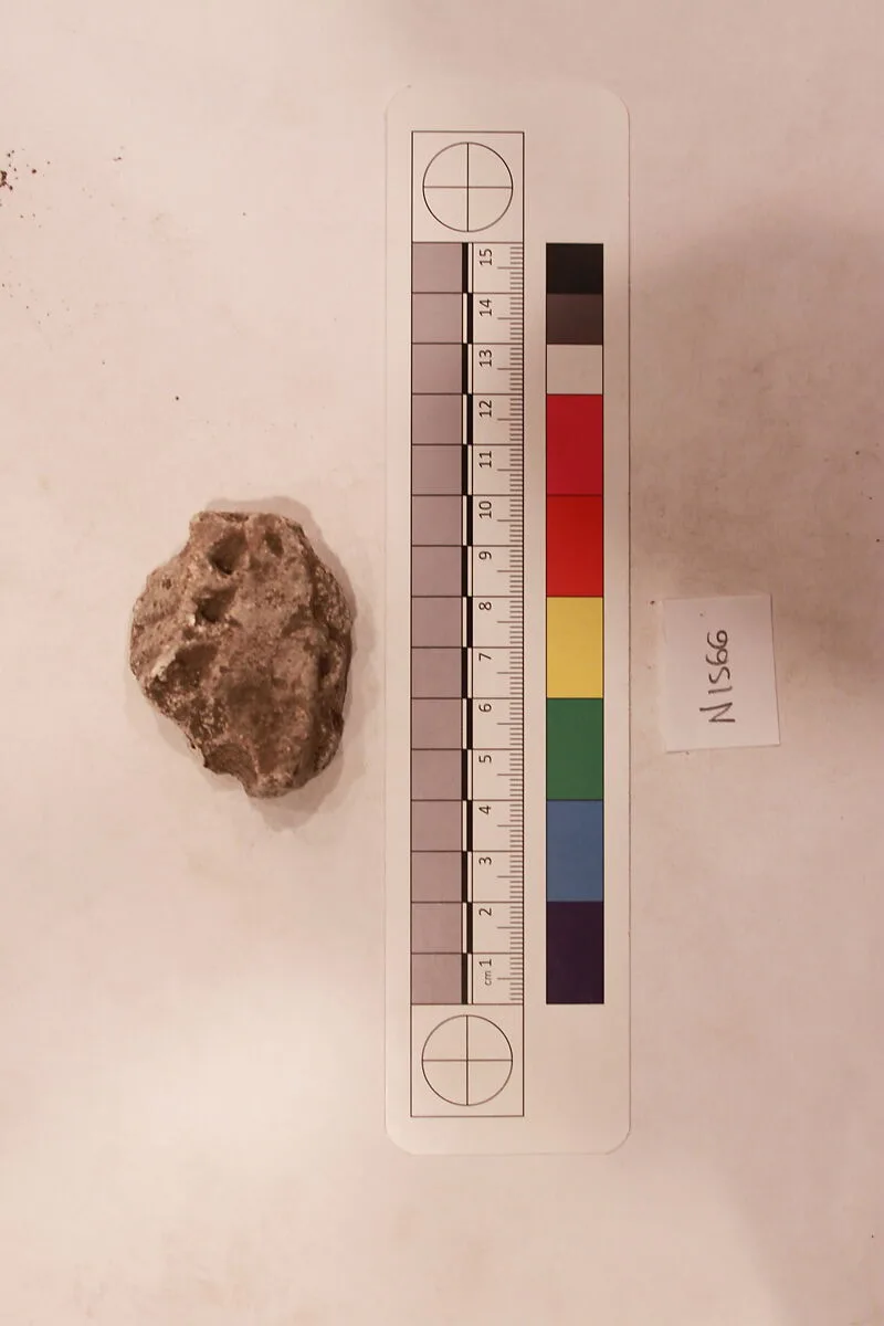 Stucco Fragment — Unknown
