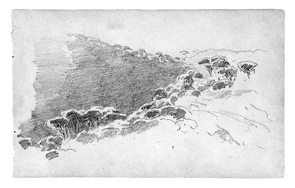 Pines — John Singer Sargent