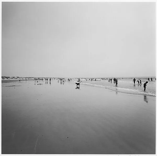 Cape Cod — Harry Callahan