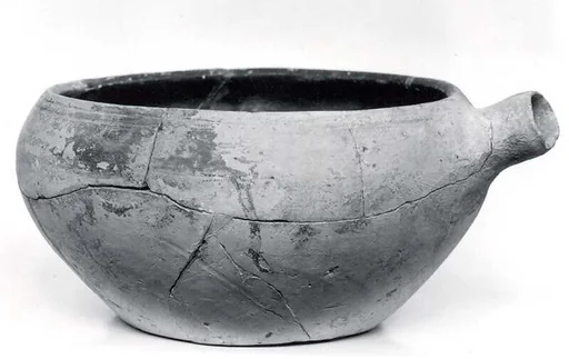 Bowl with spout