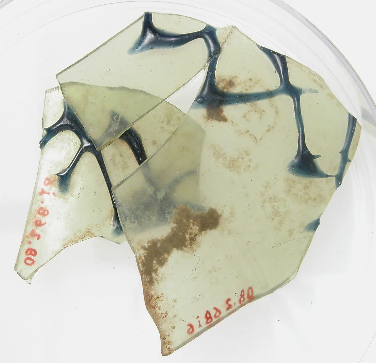 Glass Fragments — Unknown