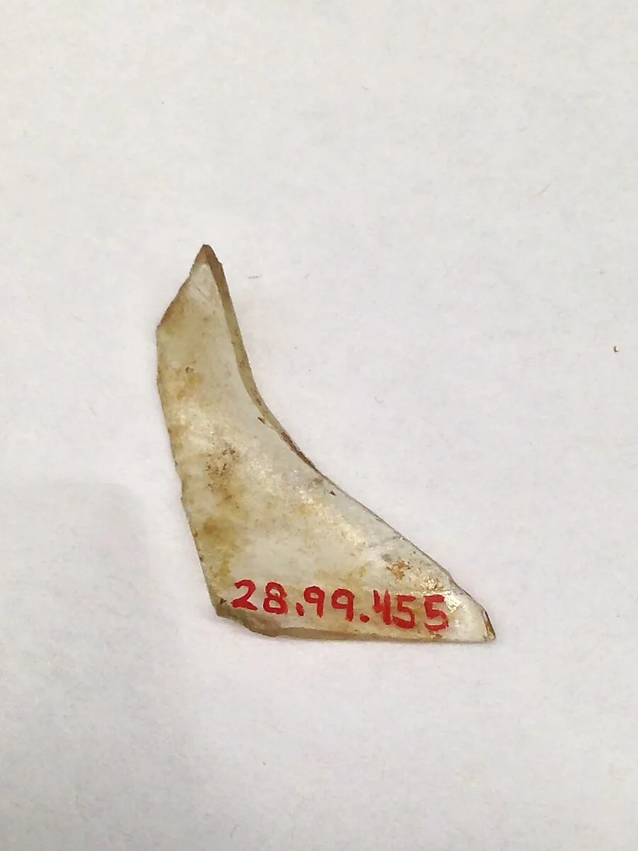 Fragment — Unknown