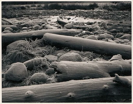 Logs, Rocks, Frost, Yosemite Valley, California