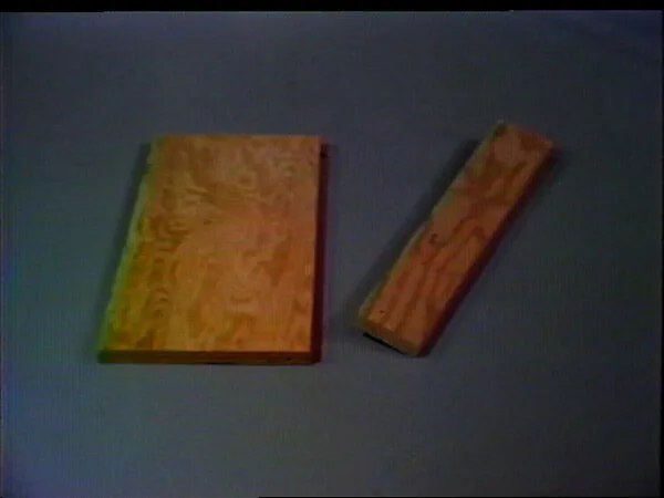 Peck and Chuck — William Wegman