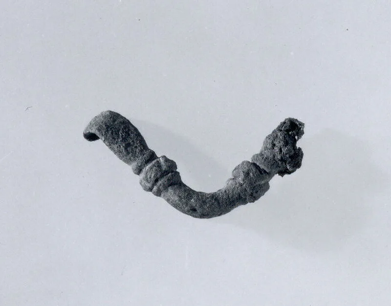 Fibula fragment — Unknown