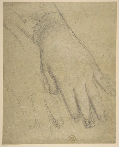 Study of a Hand
