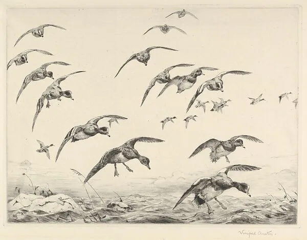 Taking the Waves — Winifred Austen