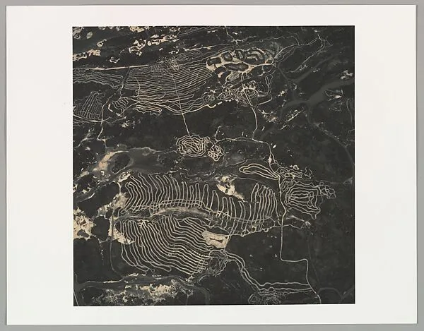 Waterfowl Nesting Site and Wetland Area, Near Sutter Buttes, California — Emmet Gowin