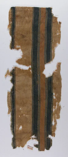 Textile Fragment