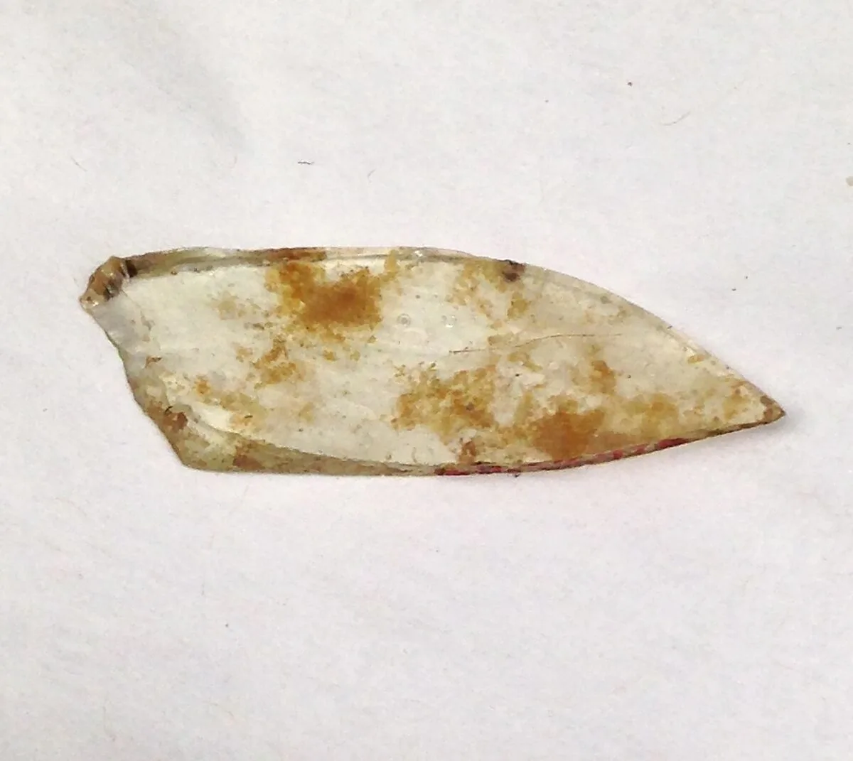 Fragment — Unknown