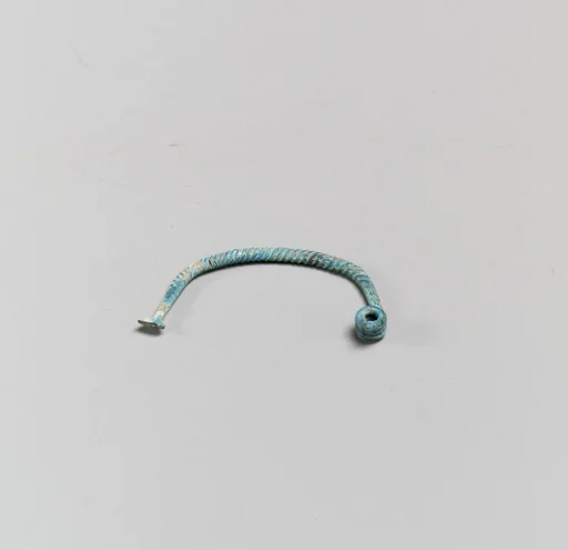 Fibula