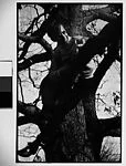 [Walker Evans Sitting in Tree]