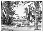 Oasis with doum palms and distant figures in the water — Unknown