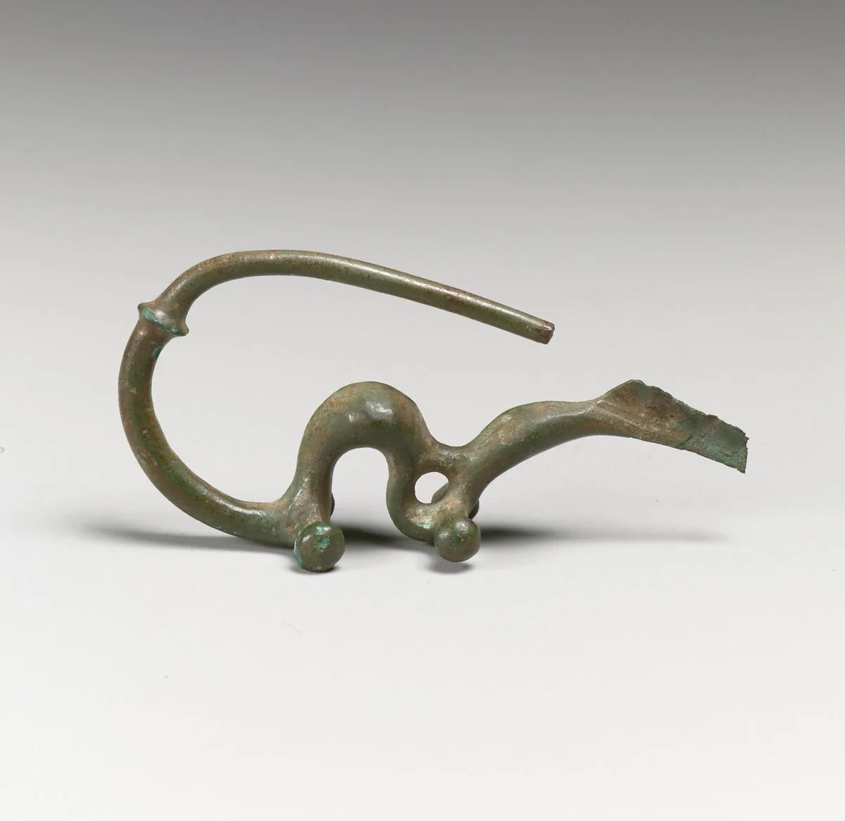Fibula, serpentine type — Unknown