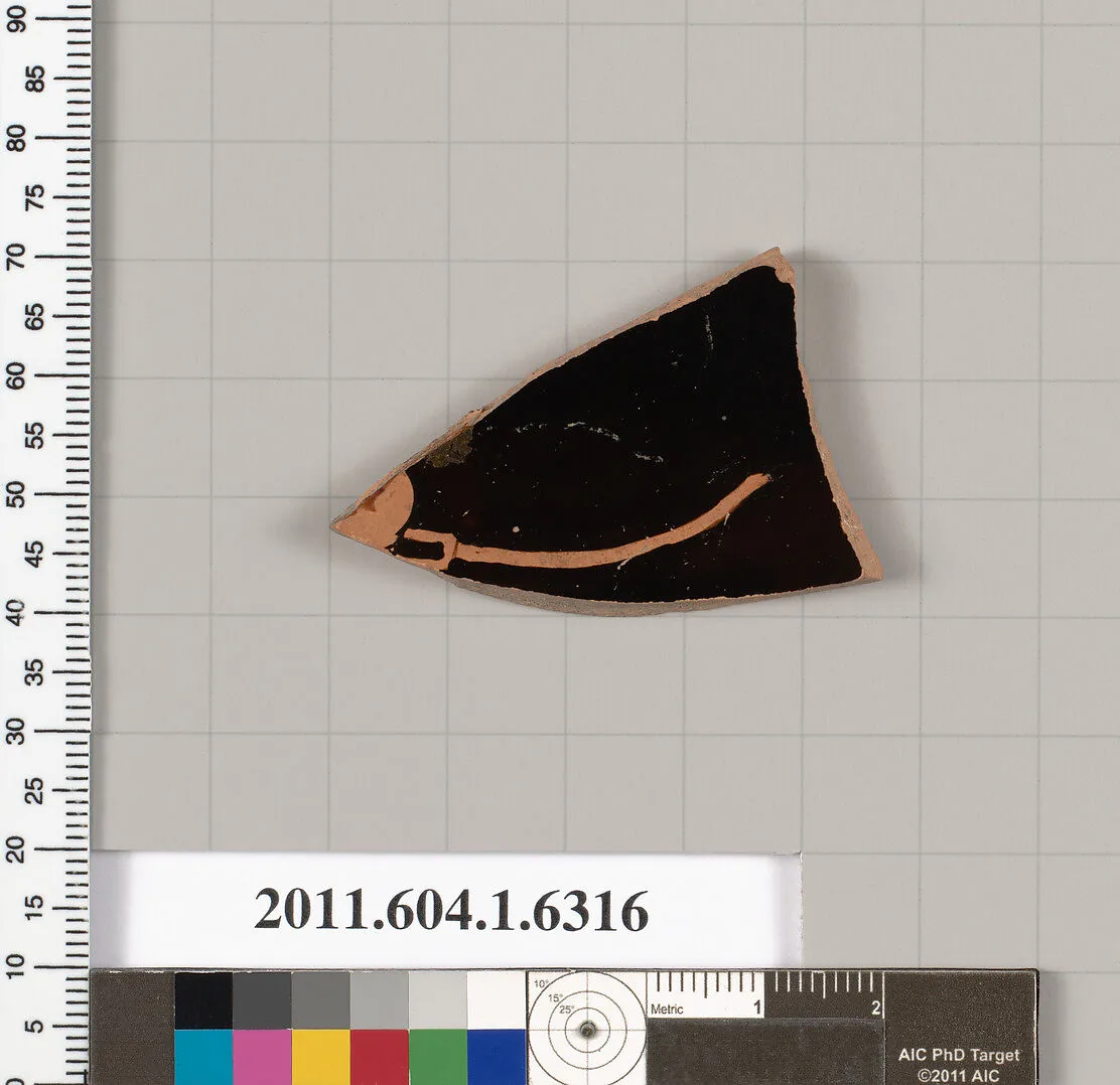 Terracotta fragment of a kylix (drinking cup) — Unknown