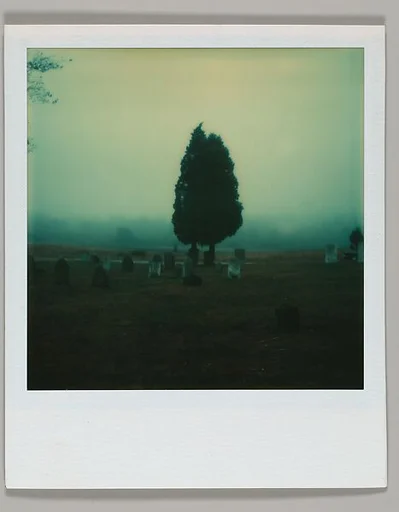 [Misty Cemetery View]