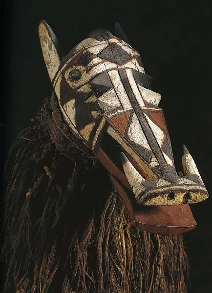 Helmet Mask: Warthog — Unknown