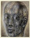 Itinerary for an Aerial Journey (Anatomical Head)