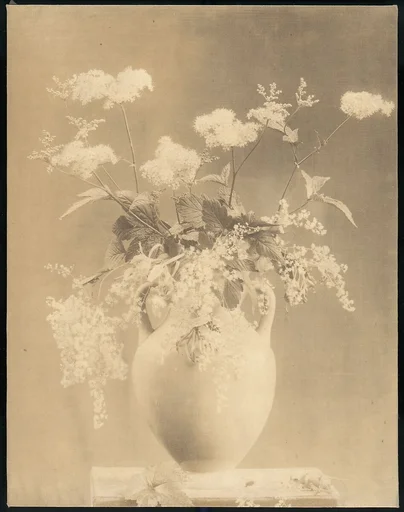 [Vase of Flowers]