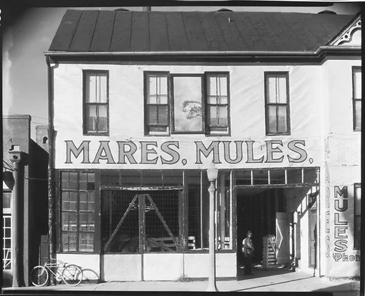 [Detail of Lum Brothers Stables Façade, Natchez, Mississippi]