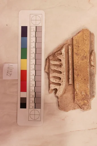 Stucco Fragment