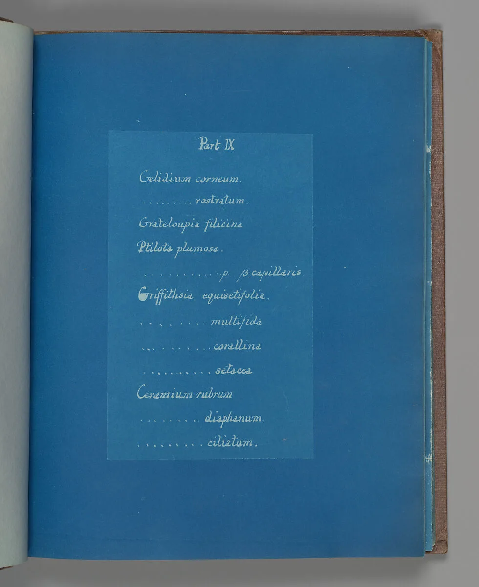 Part IX — Anna Atkins