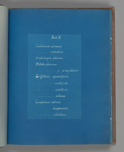 Part IX