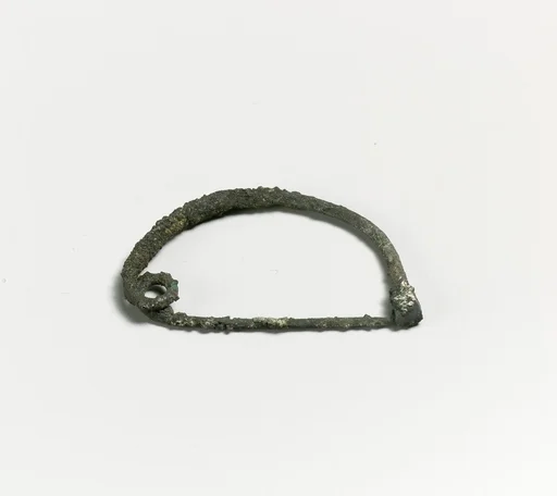 Fibula