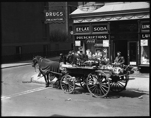 [Horse-Drawn Flower Cart, New York City]