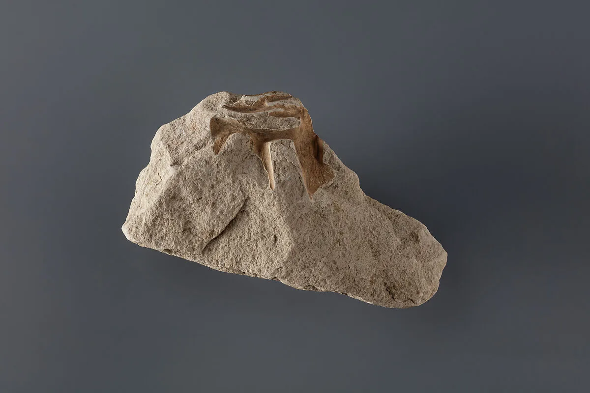 Relief fragment possibly from the tomb of Mereri — Unknown