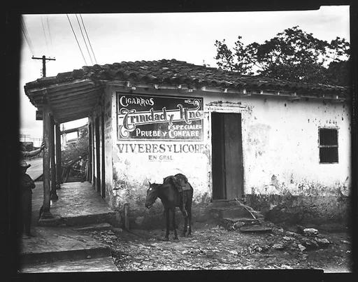 [Donkey Tied to Post Outside "La Nueva Diana" General Store, Cuba]