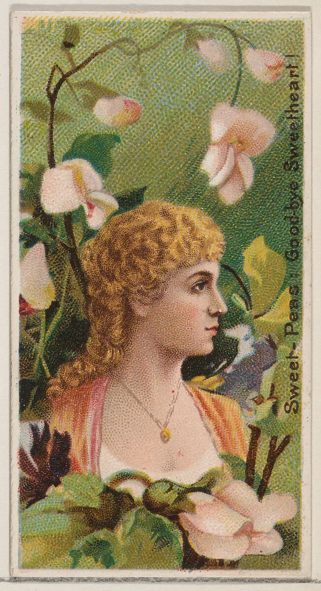 Sweet-Peas: Goodbye Sweetheart!, from the series Floral Beauties and Language of Flowers (N75) for Duke brand cigarettes — Donaldson Brothers|American Tobacco Company