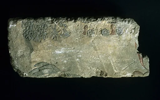 Relief of kiosk interior