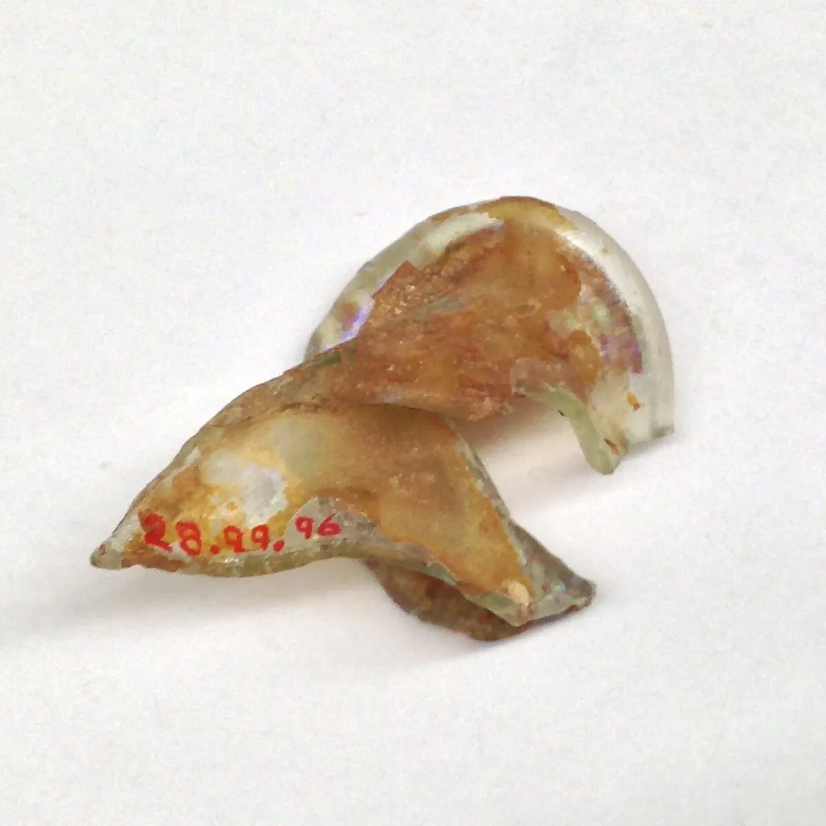 Fragment — Unknown
