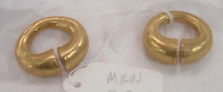 Earrings — Unknown