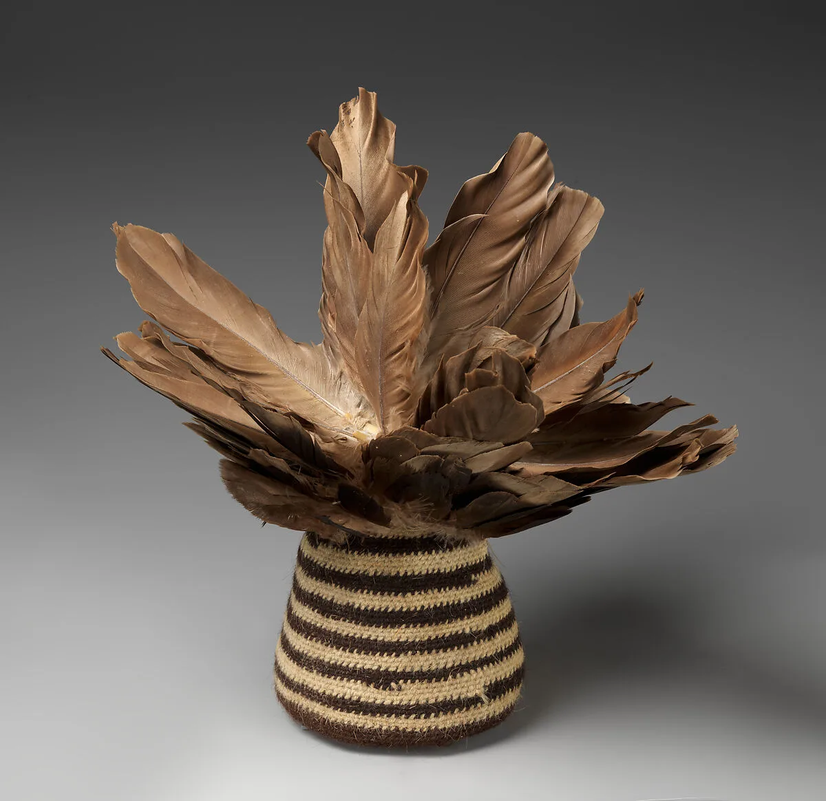 Feathered Cap — Unknown