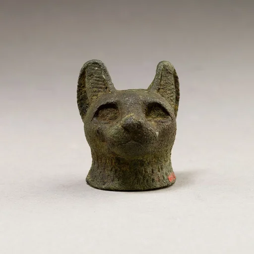 Cat head