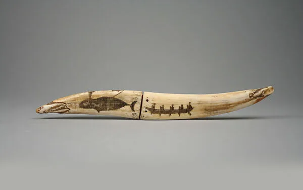 Tusks — Unknown