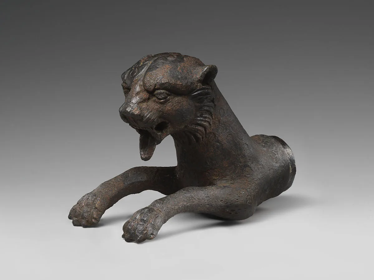 Forepart of a leopard — Unknown