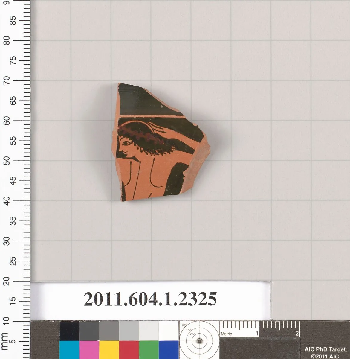 Terracotta fragment of a kylix (drinking cup) — Unknown