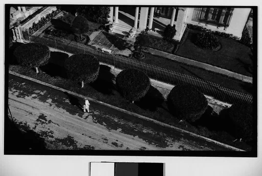 [Street with Topiaries, From Elevated Position, Havana]