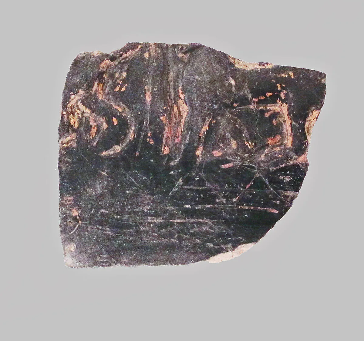Vase fragment — Unknown