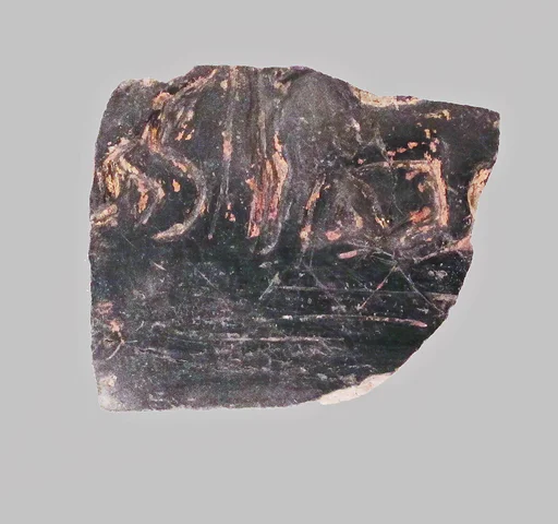Vase fragment