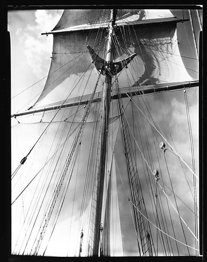 [South Seas: Mast, Sails, and Rigging of Cressida]