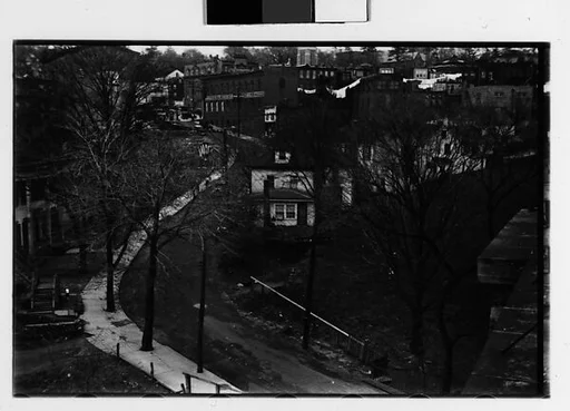[Two 35mm Film Frames: Curving Hillside Street with Elm Trees, Ossining, New York]